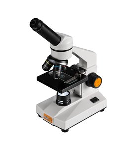 DieMaus microscopio Biolux