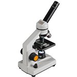 DieMaus microscopio Biolux