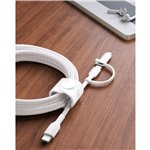 Belkin BOOST CHARGE 2-in-1 cavo USB-C/Lig.1,5m ws.CAC003hq1.