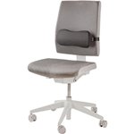 Fellowes Breyta Lendenkissen