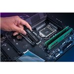 Crucial P310 Gen4 2280       1TB NVMe PCIe M.2 SSD mit heats