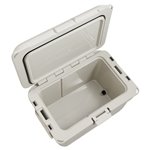 Coleman Pro 45qt frigo-box