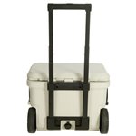 Coleman Pro 55qt frigo-box