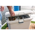 Coleman Pro 55qt frigo-box