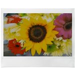 Fujifilm Instax Wide Evo