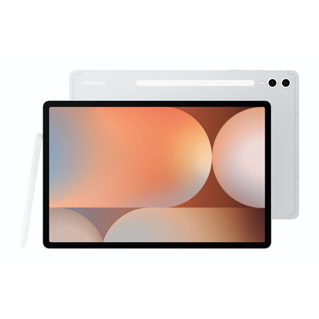 Samsung Galaxy Tab S10+ WiFi (256GB) 12GB argento