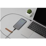 Native Union Belt Cable USB-C to Lightning 1,2m Zebra
