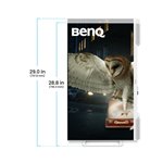 BenQ EW3290U
