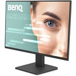 BenQ GW2491