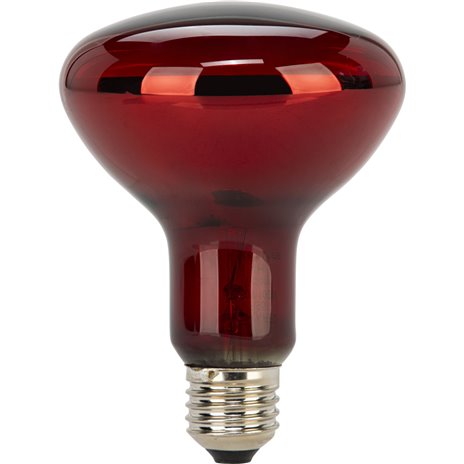 Beurer Replacement Lamp for Red Light and Infrared Lamps