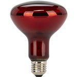 Beurer Replacement Lamp for Red Light and Infrared Lamps