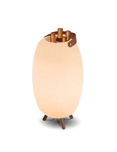 New Garden APOLO 70 RECARGABLE lampada