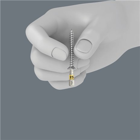 Wera Bit-Check 12 Wood TORX HF 1