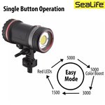 Sealife Sea Dragon 5000+ con Color Boost Light Head (SL680-1