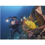 Sealife Sea Dragon 5000+ con Color Boost Light Head (SL680-1