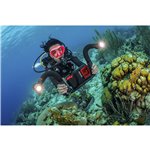 Sealife Flex Connect Flex Arm (SL9901)