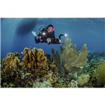 Sealife Flex Connect Flex Arm (SL9901)