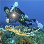 Sealife Reefmaster RM-4K Pro 2000 kit (SL354)