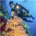 Sealife Reefmaster RM-4K Pro 2000 kit (SL354)