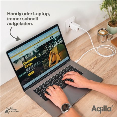 Aqiila Chargebird W3 65W 2x USB-C 1x USB-A