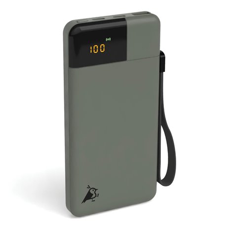 Aqiila Powerbird B10 Powerbank 20W verde muschio 10.000 mAh