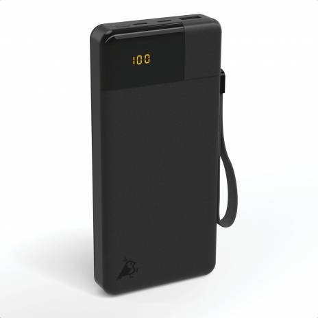 Aqiila Powerbird B20 Powerbank 20W nero 20.000 mAh
