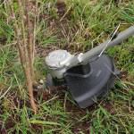 Bosch ADVANCEDBRUSHCUT 36V-23- 750 tagliaerba a batteria