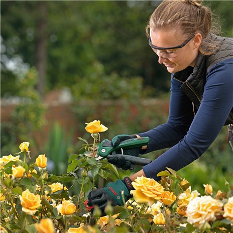 Bosch EASYPRUNE AKKU-GARTEN- Schere CLASSIC