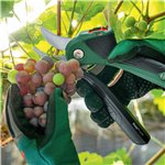 Bosch EASYPRUNE AKKU-GARTEN- Schere CLASSIC