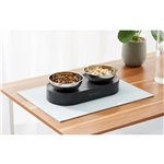 PETKIT Fresh Nano Metal 15 Grad Adjustable Cat Feeding Bowl