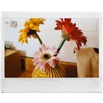 Fujifilm instax Link WIDE A grigio EX D