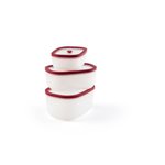 Berkel Kit all in one Icon Mini Vakuumpumpe rot