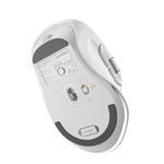 Alogic Apex Bluetooth Wireless Mouse White