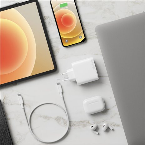 Alogic Rapid Power 63W Dual USB-C Fast GaN Charger +Cable 2m