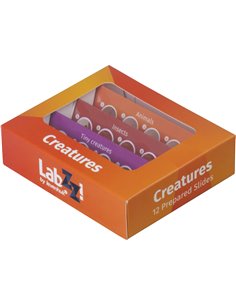 Levenhuk LabZZ C12 set vetrini preparati