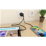 RaidSonic IB-PS1020-PD 2 Port 20W aliment.