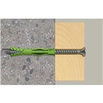 Fischer tass. SX Plus verde 8x65