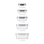 Joseph Joseph Nest Lock blau 5-tlg. Aufbewahrungsbehälter