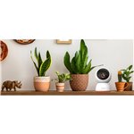 Strong SHC08IR0-W Smart Home Camera