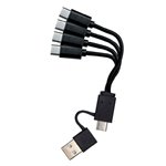 1x4 Coast Zithion-X Mignon AA Akku, USB-C Ladeanschl