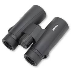 Carson VX Series           10x42 2