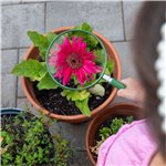 Carson HU-20 Lupe 5  Big Eye