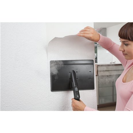 Kärcher  Tapetenlöser