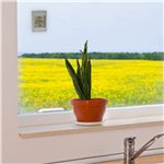 TFA WINDOO 30.1067.15 digitales Fensterthermometer