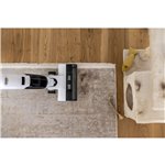 Kärcher FCV2 Natural N Waschsauger
