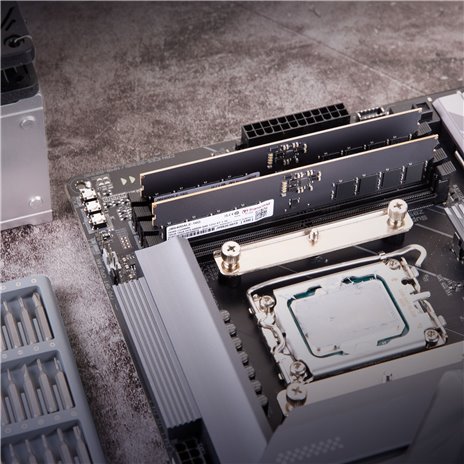 Transcend JetRAM DDR5 6400  32GB U-DIMM 2Rx8 2Gx8 CL52