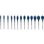 Bosch EXPERT SELFCUT Speed Bo. set 13pz 10-32mm