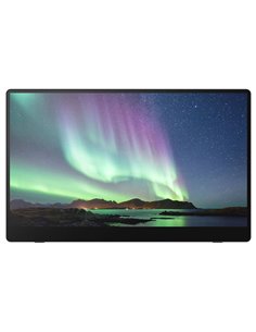 Ricoh 150 OLED Monitor mobile con Touchscreen