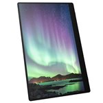 Ricoh 150BW OLED-Monitor mobile con Touchscreen