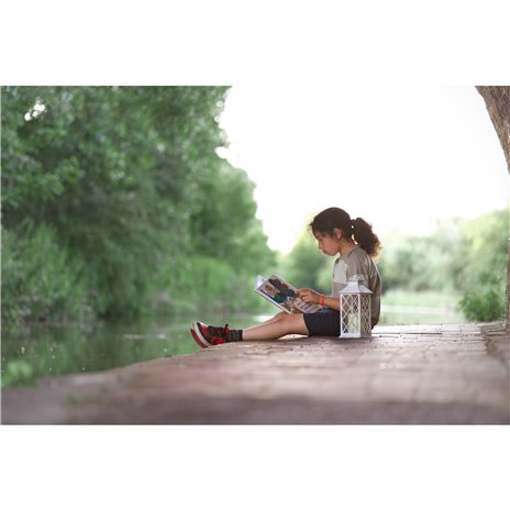 Samyang AF 1,8/85 P FE    Sony E